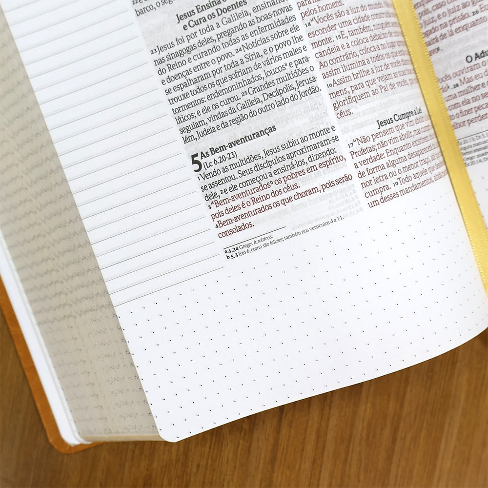 Bíblia Anote Castanho | NVI | Letra Grande | Com Espaço Para Anotações