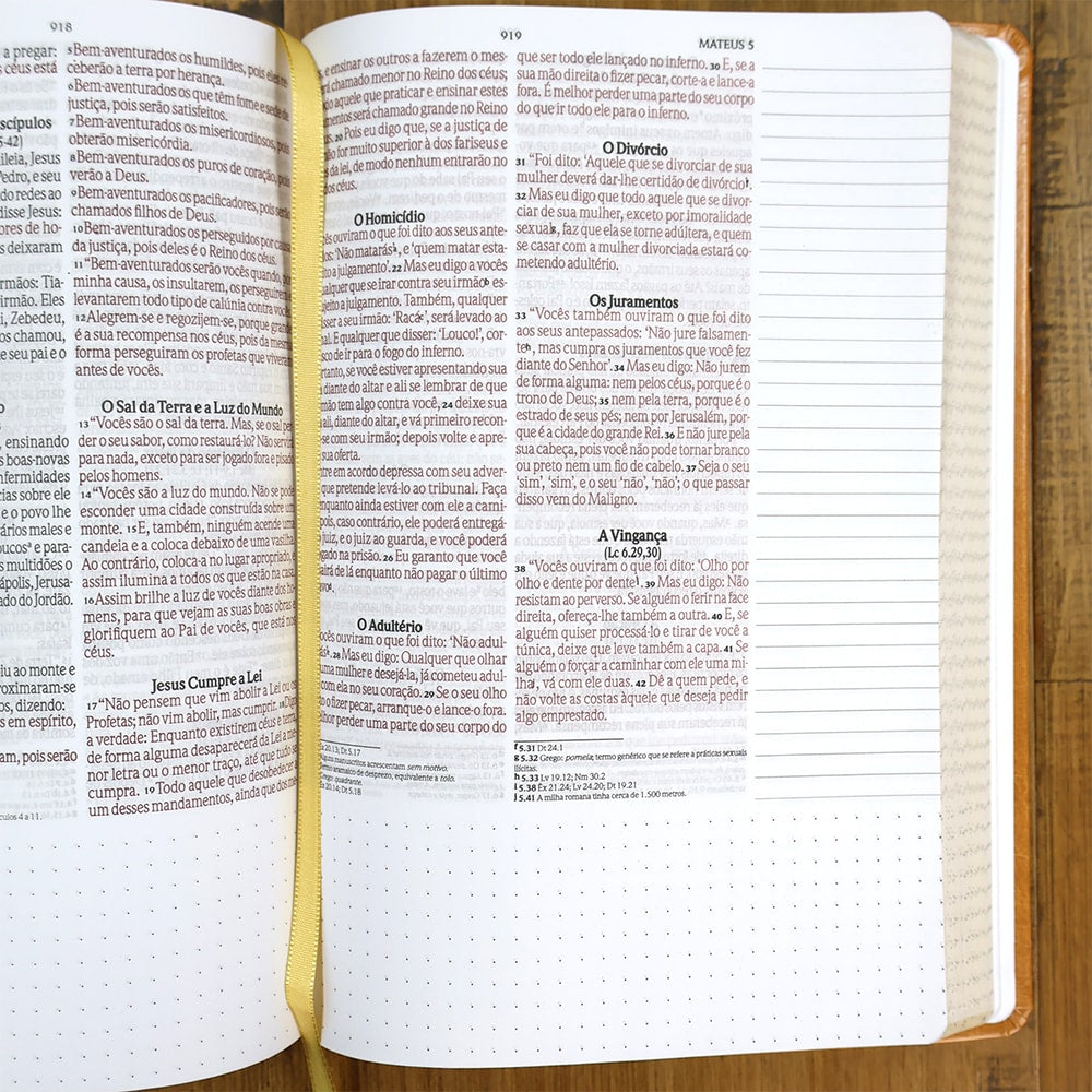 Bíblia Anote Castanho | NVI | Letra Grande | Com Espaço Para Anotações