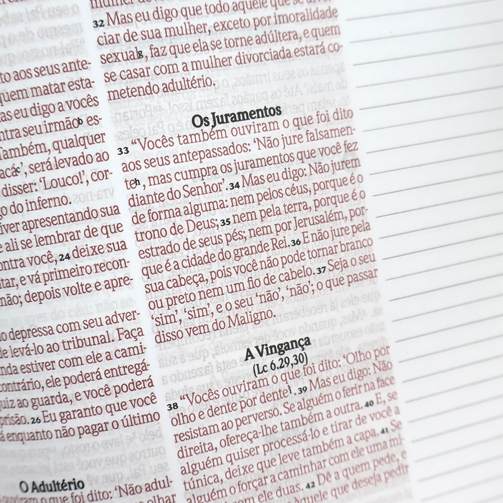 Bíblia Anote Castanho | NVI | Letra Grande | Com Espaço Para Anotações