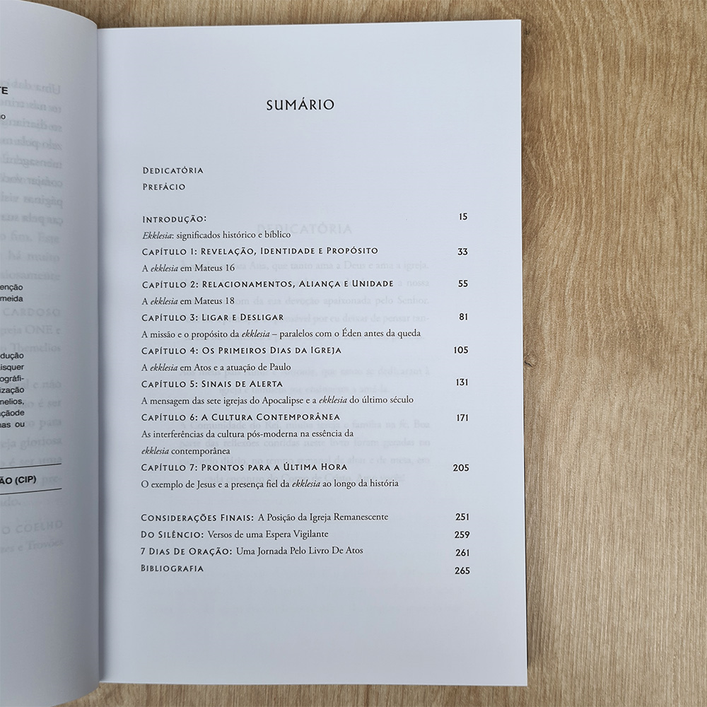 A Igreja Remanescente | Luciano Motta