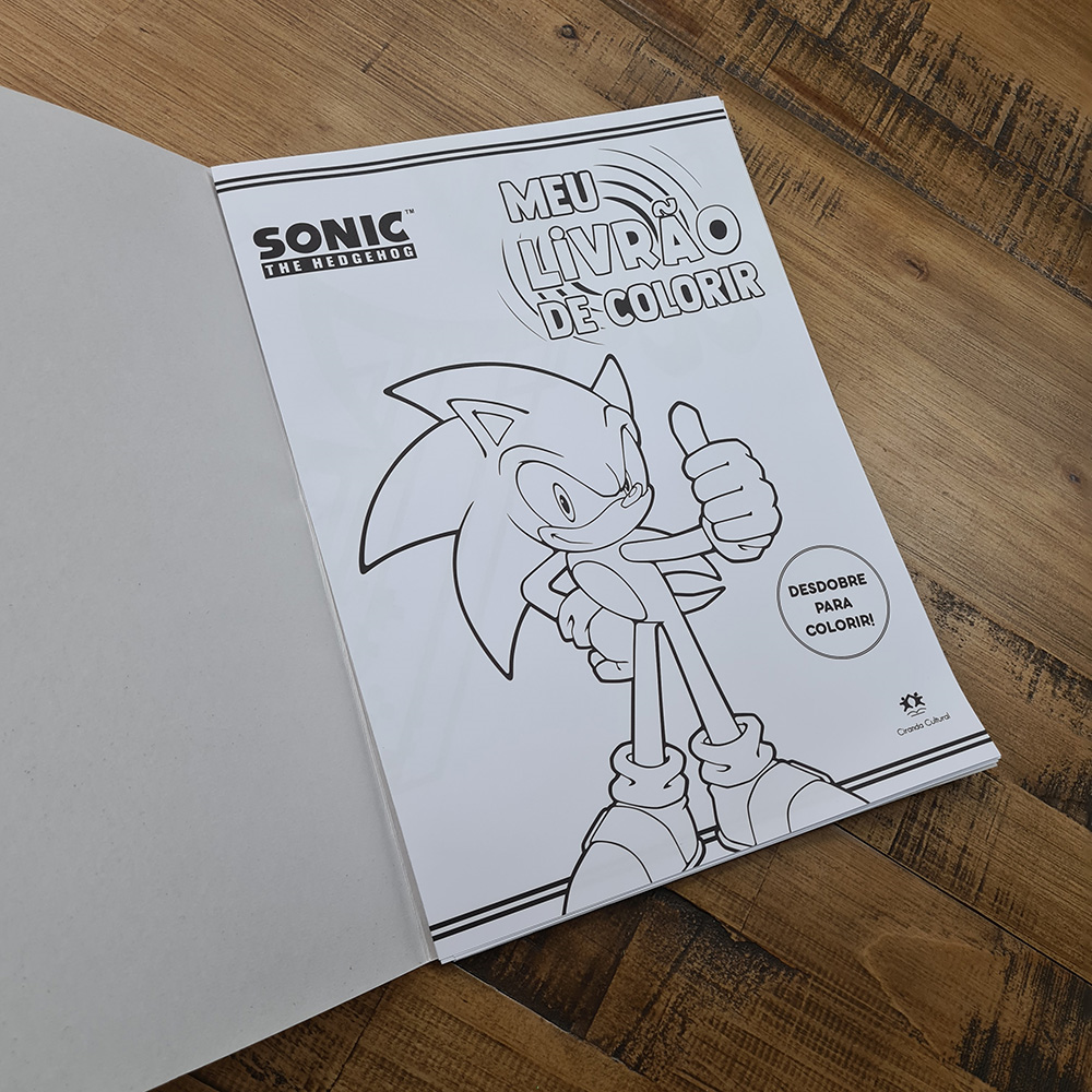 Meu Livrão de Colorir| Sonic