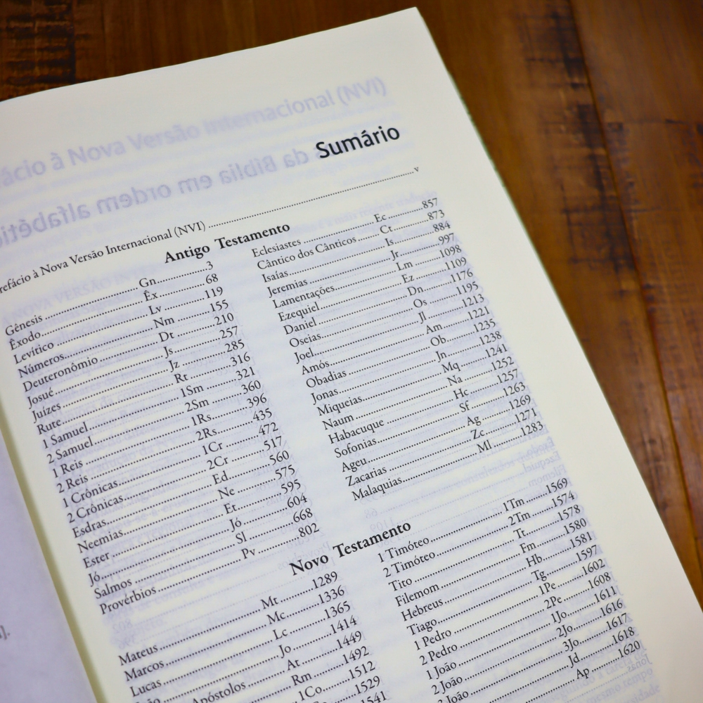 Bíblia Sagrada Graça | NVI | Letra Grande | Capa Dura com Espaço para Anotações