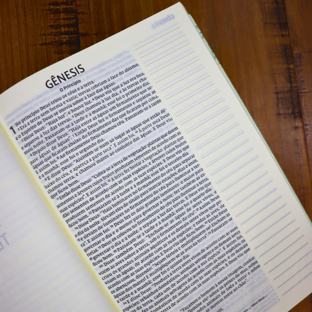 Bíblia Sagrada Graça | NVI | Letra Grande | Capa Dura com Espaço para Anotações