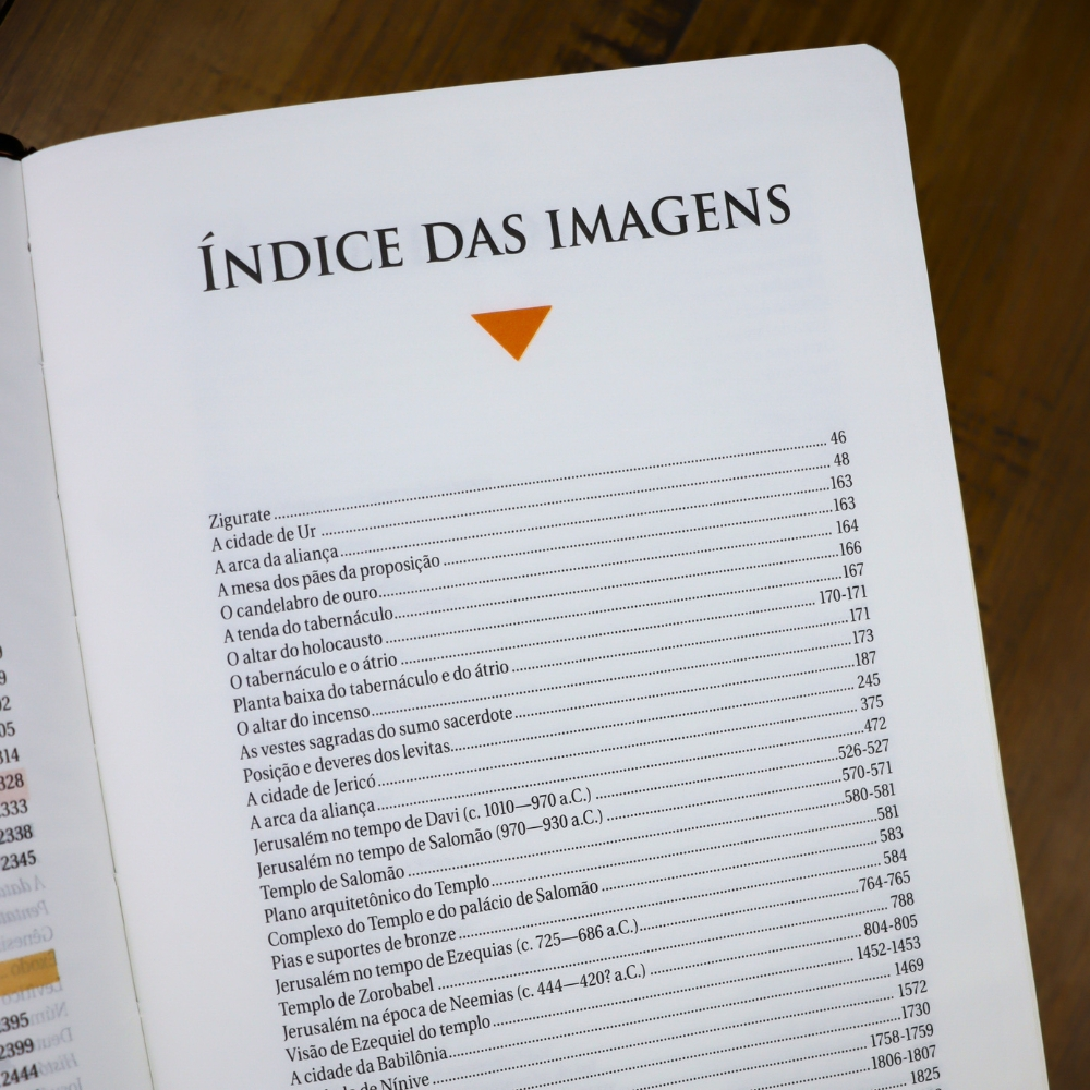 Bíblia de Estudo | NAA |  Letra Normal |  Tamanho Portátil | Capa Luxo Preta