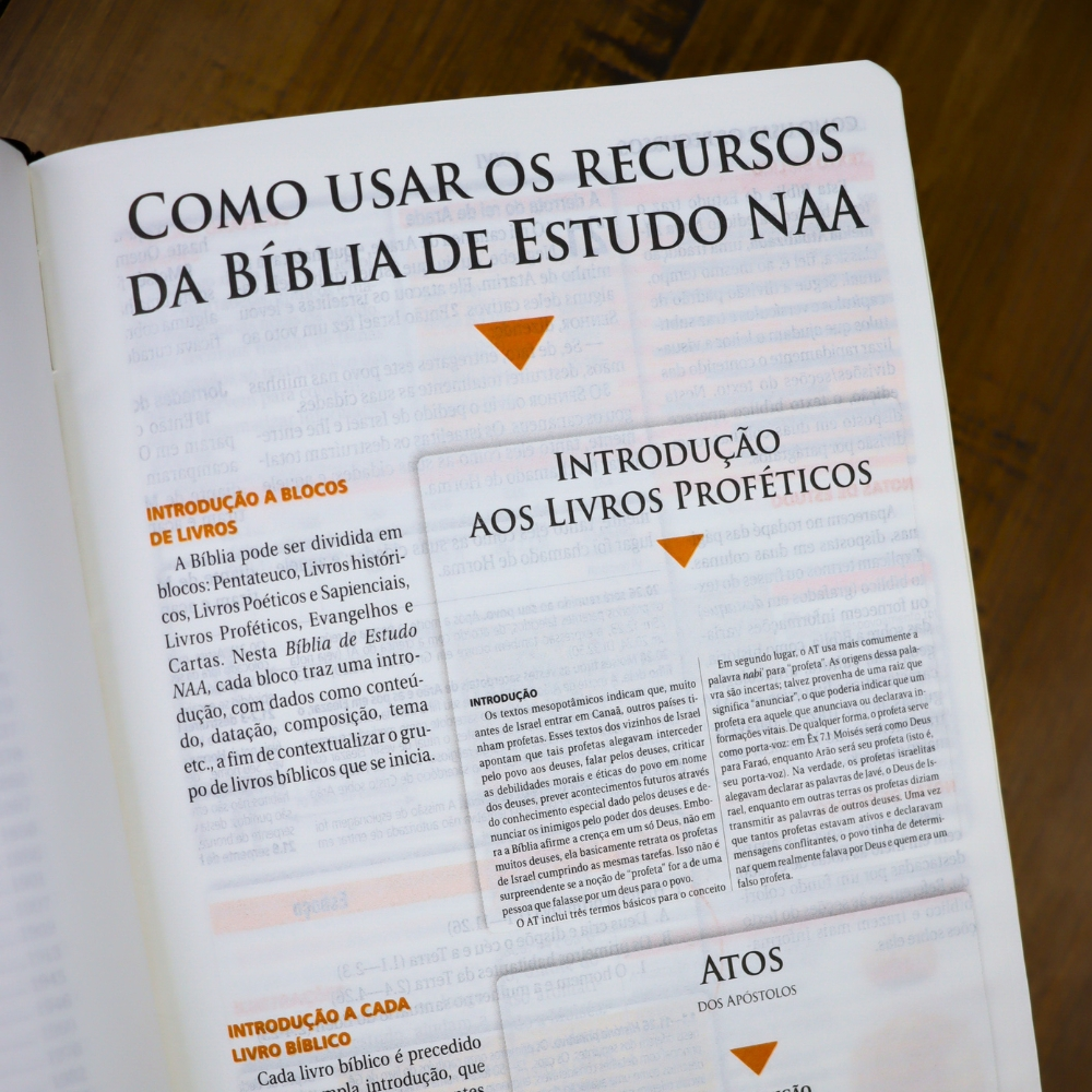 Bíblia de Estudo | NAA |  Letra Normal |  Tamanho Portátil | Capa Luxo Preta