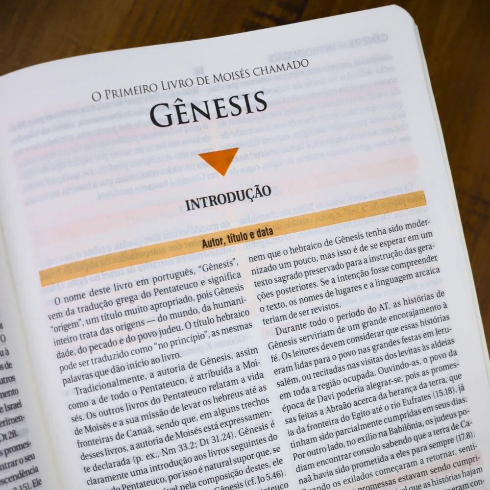 Bíblia de Estudo | NAA |  Letra Normal |  Tamanho Portátil | Capa Luxo Preta