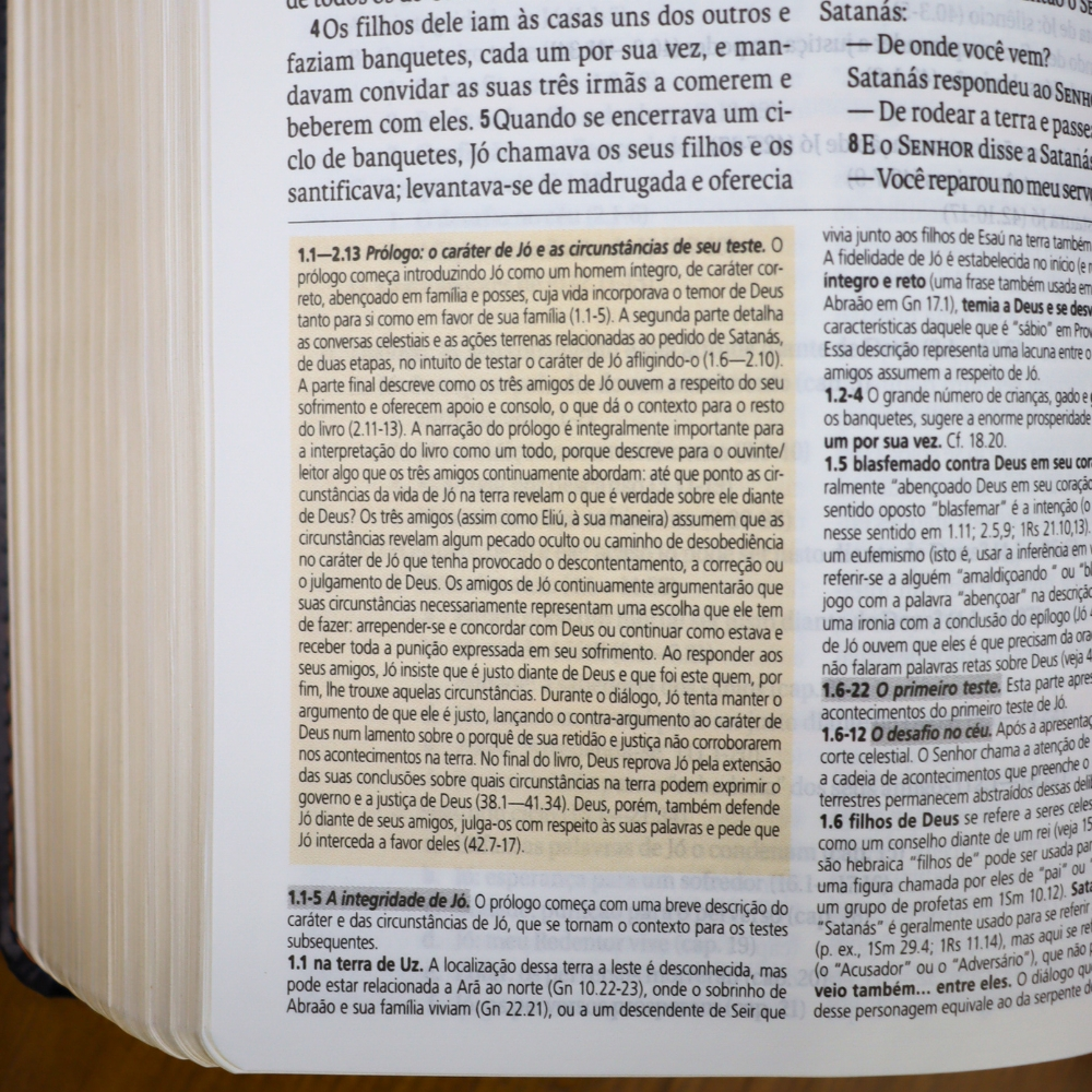 Bíblia de Estudo | NAA |  Letra Normal |  Tamanho Portátil | Capa Luxo Preta