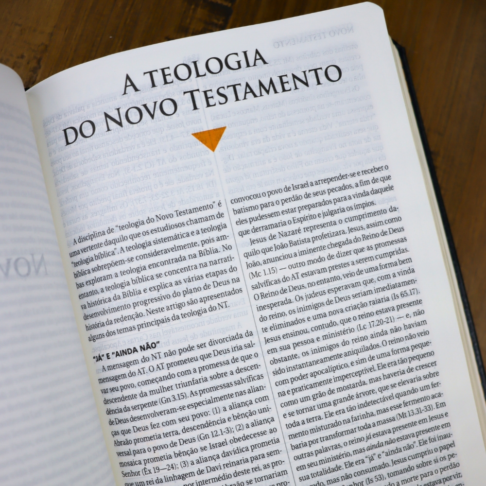Bíblia de Estudo | NAA |  Letra Normal |  Tamanho Portátil | Capa Luxo Preta