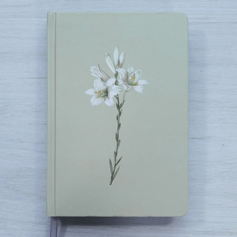 Bíblia Sagrada Lírios | NVI | Letra Maior | Capa Dura