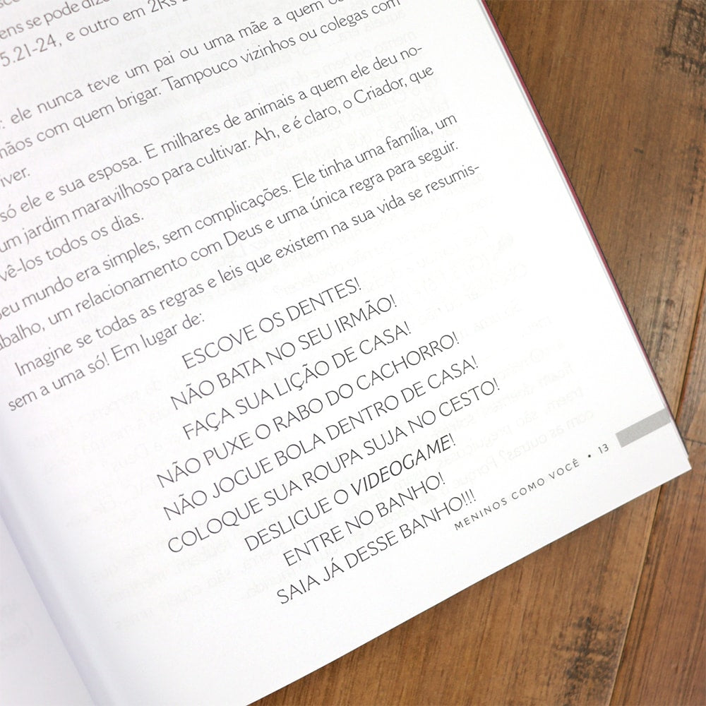 Meninos Como Você | Priscila Michel Porcher