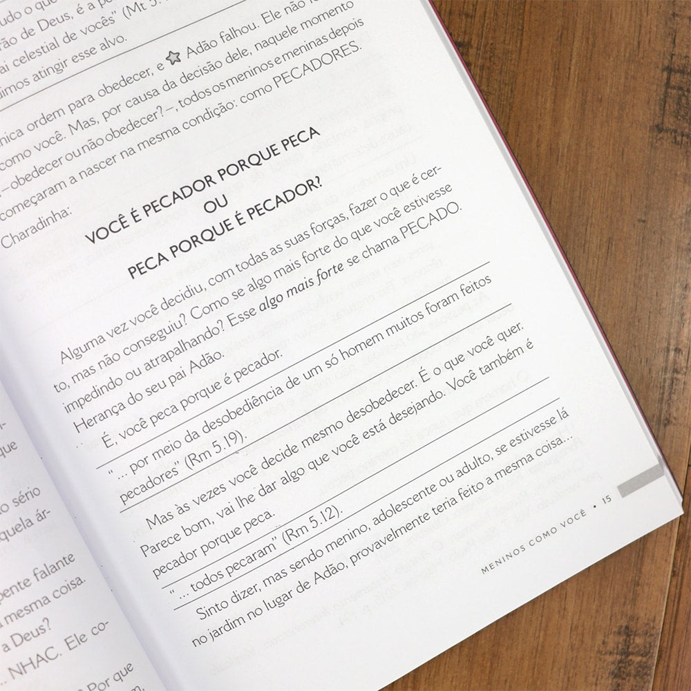 Meninos Como Você | Priscila Michel Porcher