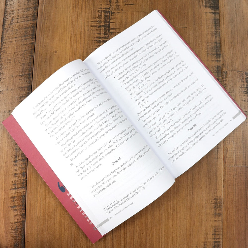 Meninos Como Você | Priscila Michel Porcher