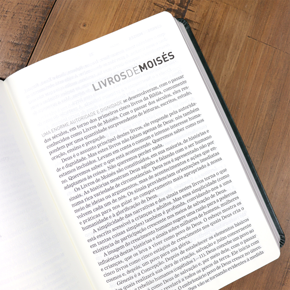 Bíblia A Mensagem | Letra Gigante | Capa Luxo Verde