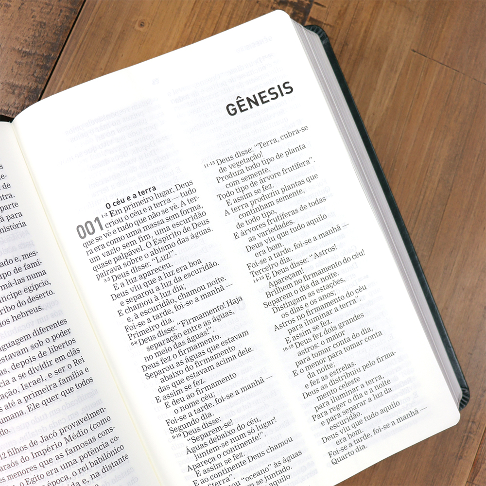 Bíblia A Mensagem | Letra Gigante | Capa Luxo Verde