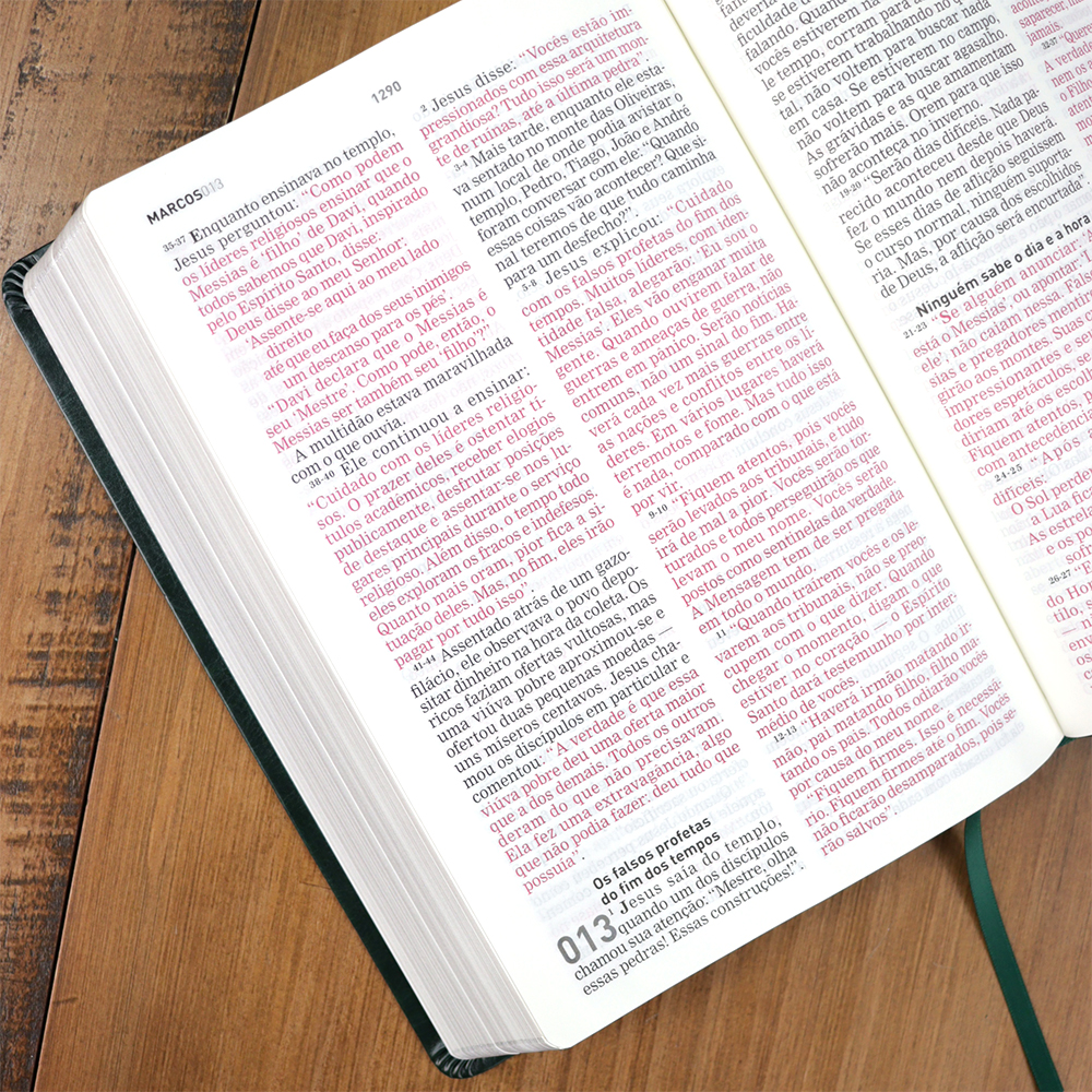 Bíblia A Mensagem | Letra Gigante | Capa Luxo Verde