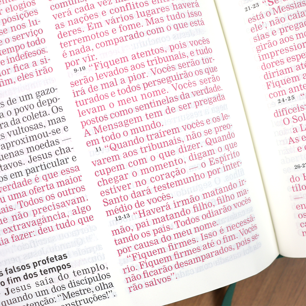 Bíblia A Mensagem | Letra Gigante | Capa Luxo Verde