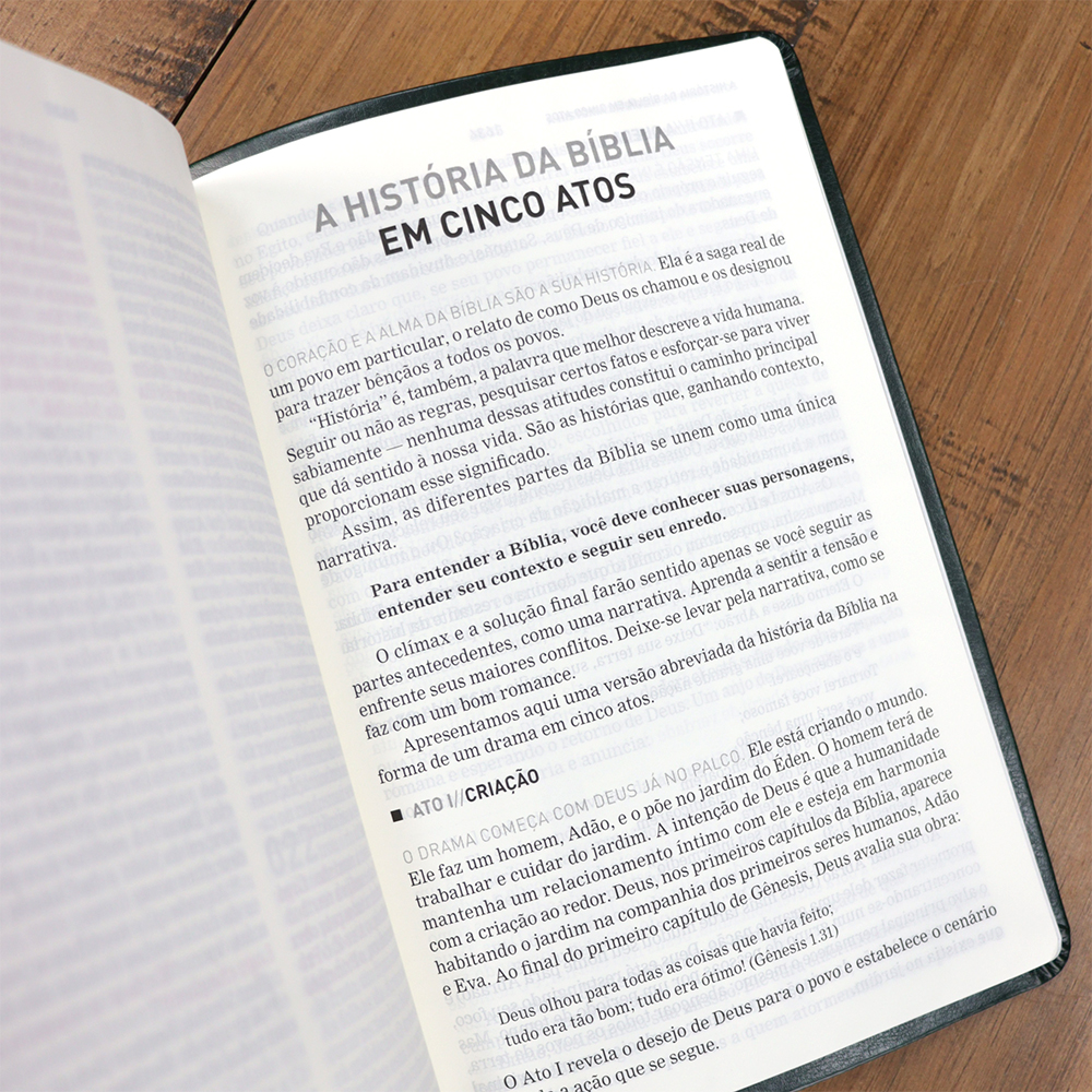 Bíblia A Mensagem | Letra Gigante | Capa Luxo Verde