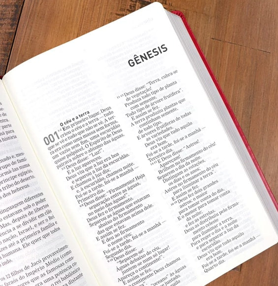 A Bíblia A Mensagem | Letra Gigante | Capa Luxo Vermelha 