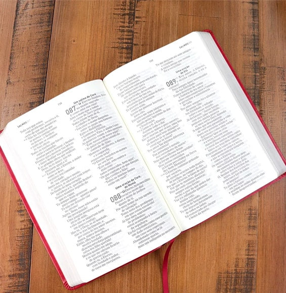 A Bíblia A Mensagem | Letra Gigante | Capa Luxo Vermelha 
