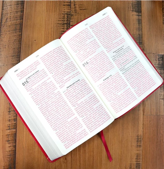 A Bíblia A Mensagem | Letra Gigante | Capa Luxo Vermelha 