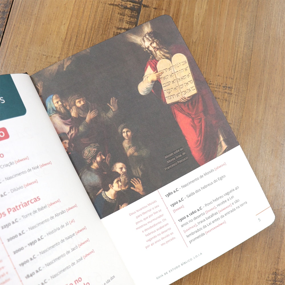 Bíblia Sagrada | Com Guia De Estudo Biblico J.O.I.A | NVT | Letra Normal | Capa Ceia
