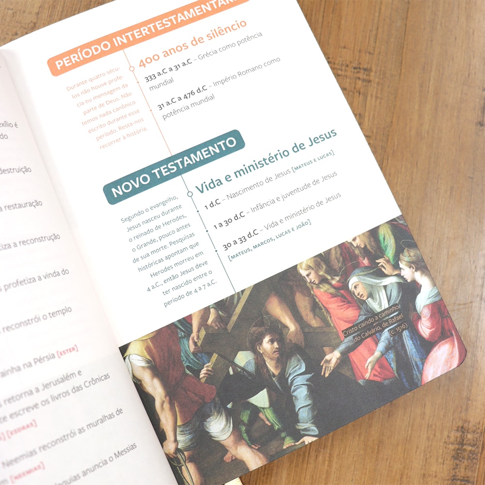 Bíblia Sagrada | Com Guia De Estudo Biblico J.O.I.A | NVT | Letra Normal | Capa Ceia