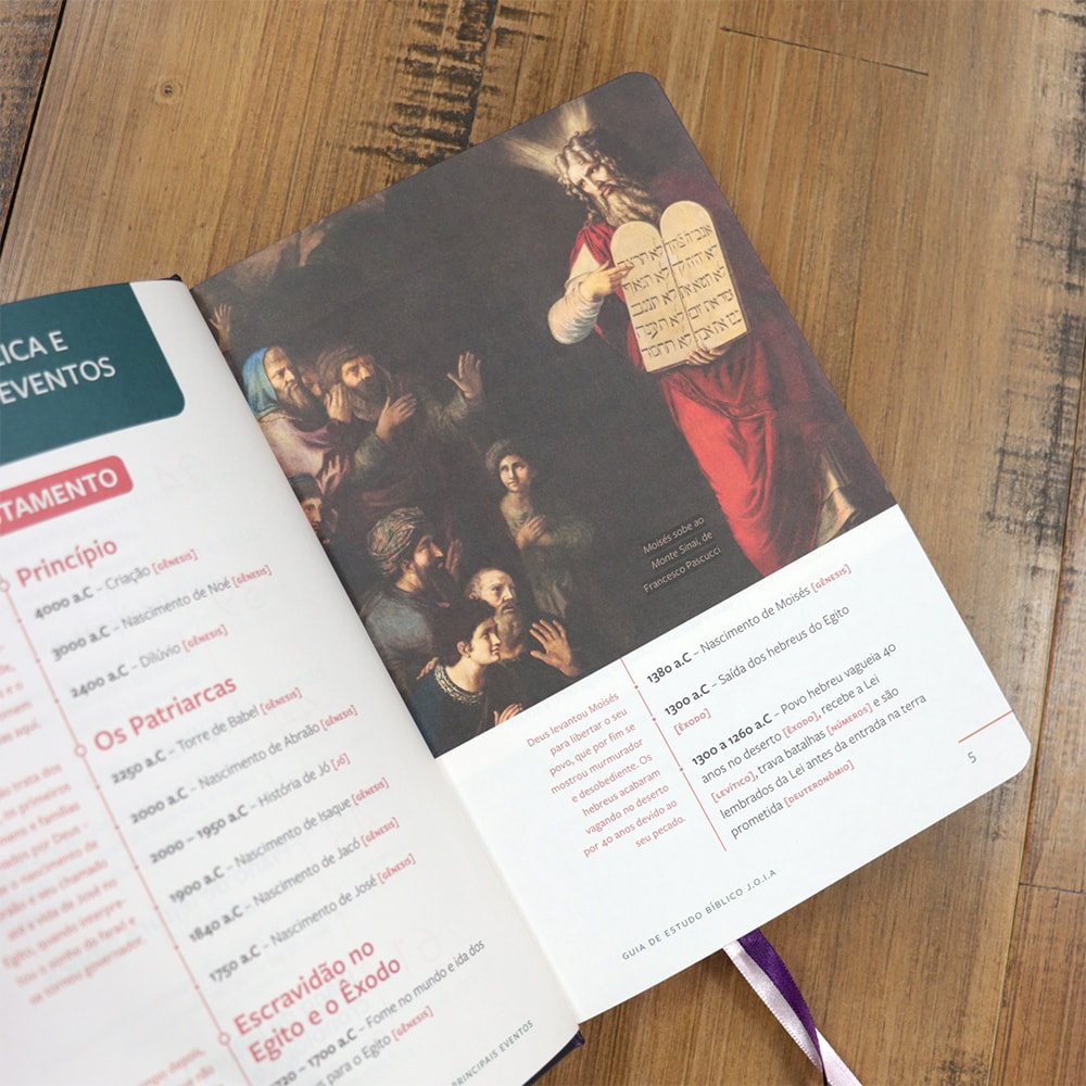 Bíblia Sagrada | Com Guia De Estudo Biblico J.O.I.A | NVT | Letra Normal | Capa Floral