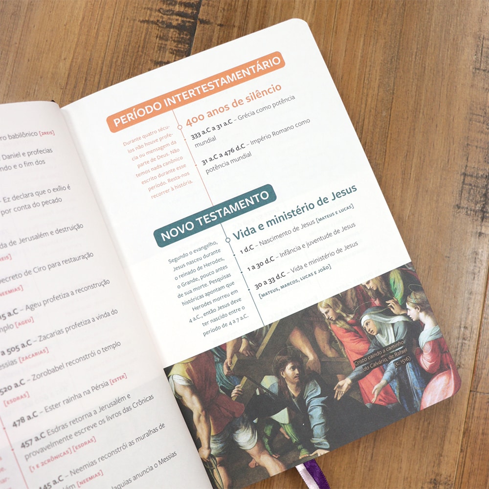 Bíblia Sagrada | Com Guia De Estudo Biblico J.O.I.A | NVT | Letra Normal | Capa Floral