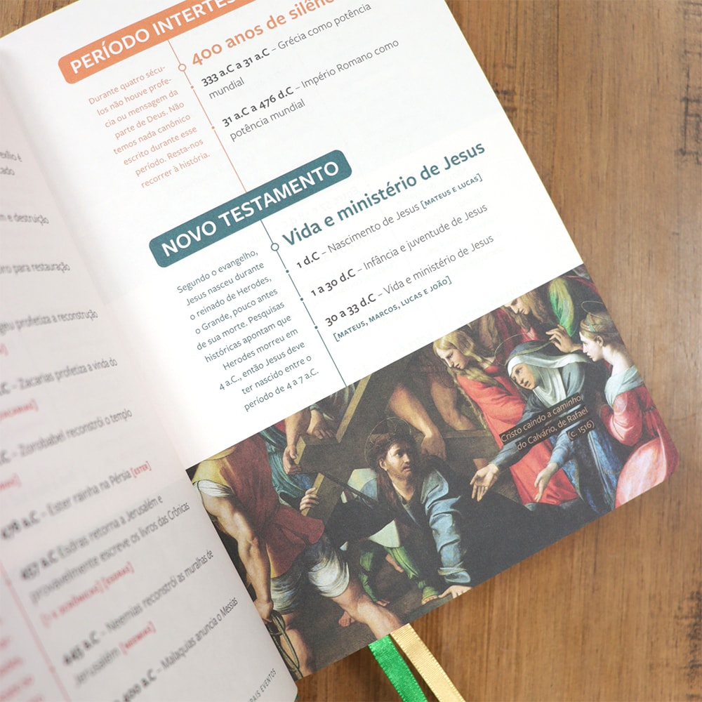 Bíblia Sagrada | Com Guia De Estudo Biblico J.O.I.A | NVT | Letra Normal | Capa Verde
