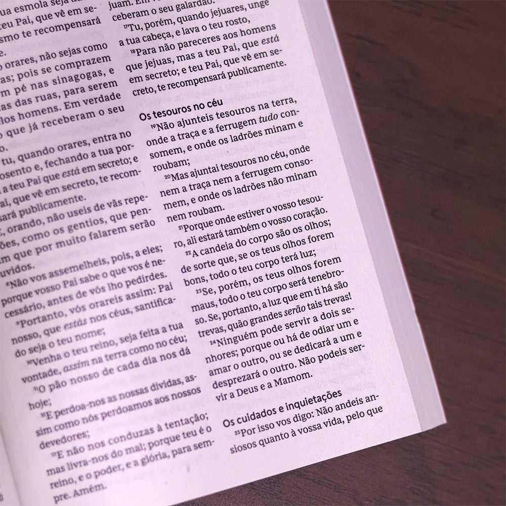 Bíblia Sagrada | Novo testamento | ACF | Letra Normal