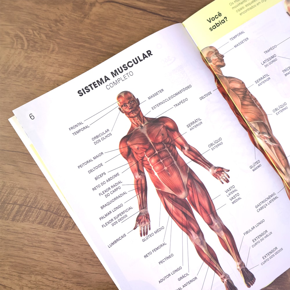 Atlas do Corpo Humano | Edição Revisada e Atualizada
