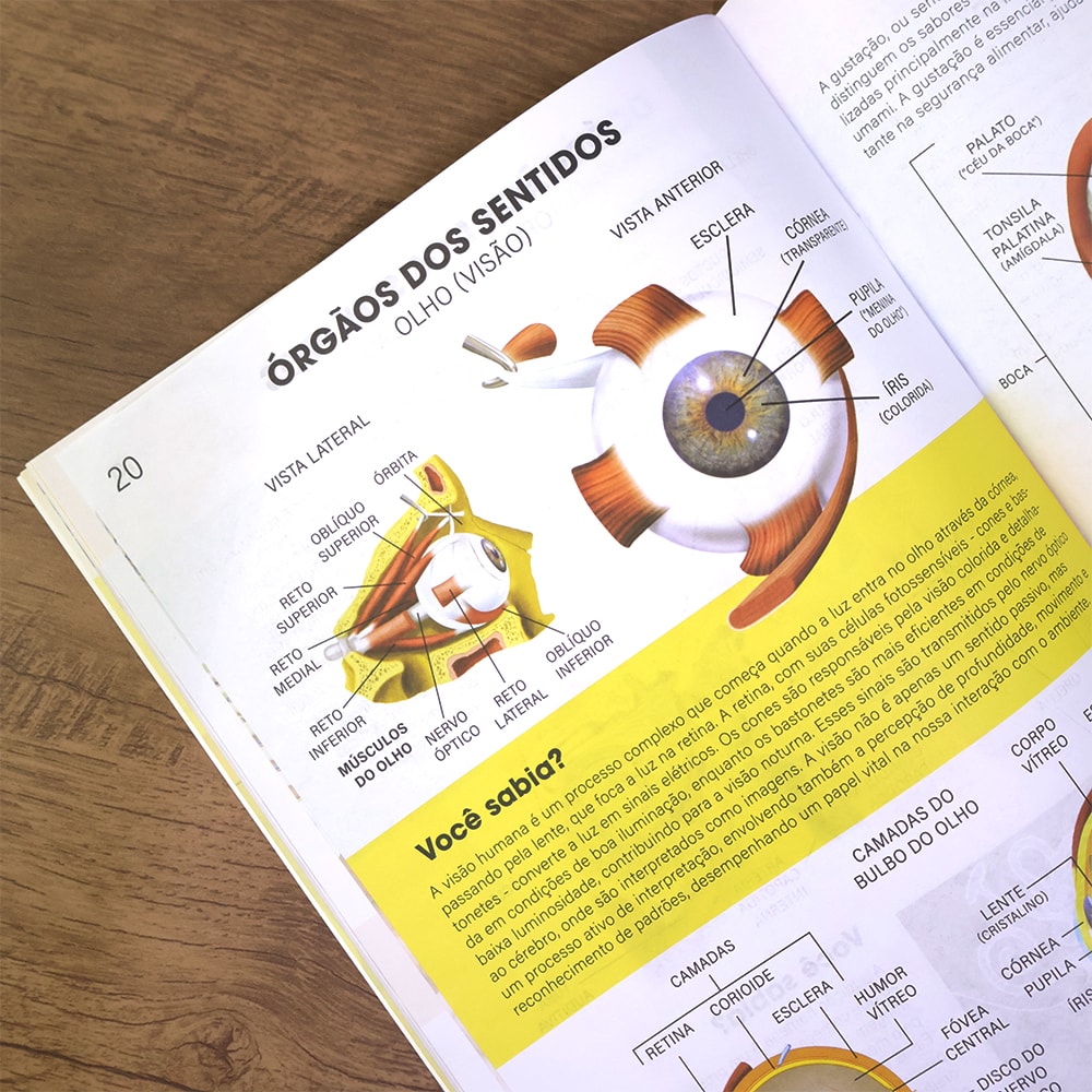 Atlas do Corpo Humano | Edição Revisada e Atualizada