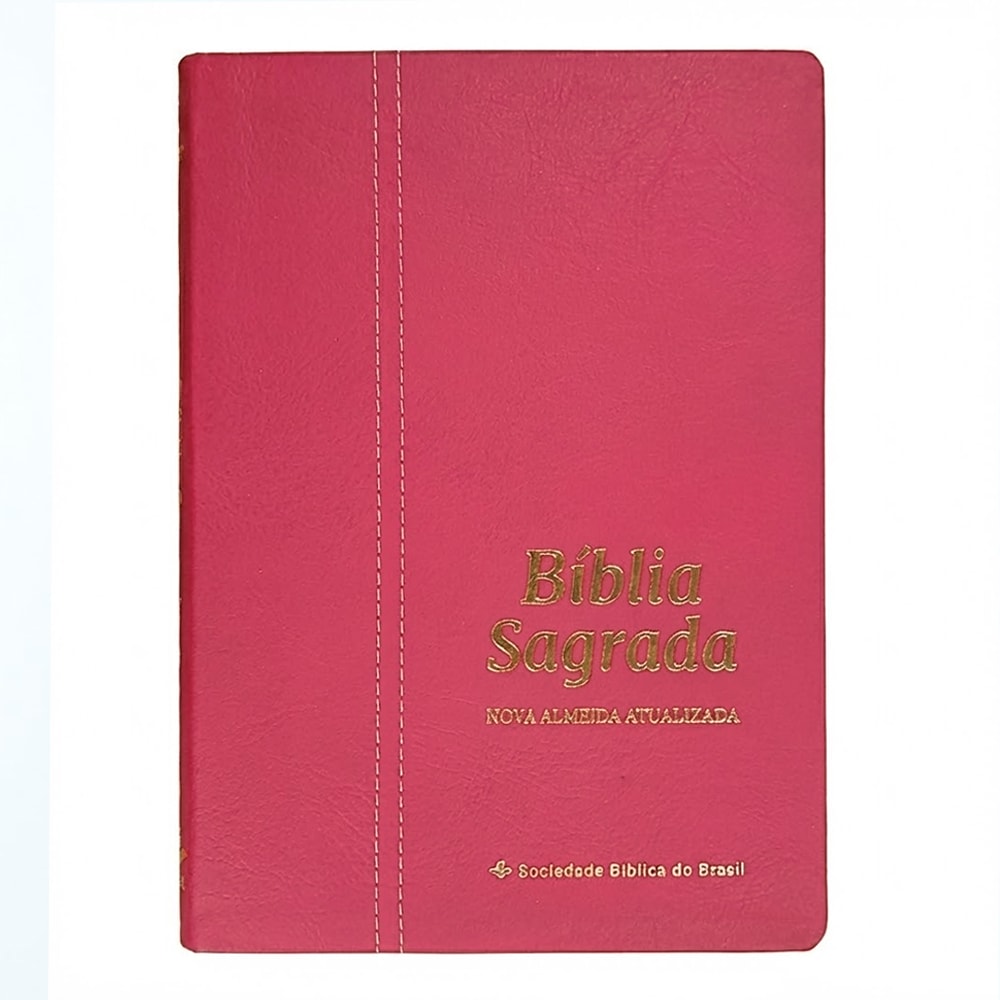 Bíblia Sagrada | NAA | Letra Normal | Capa Couro Legítimo Malagueta
