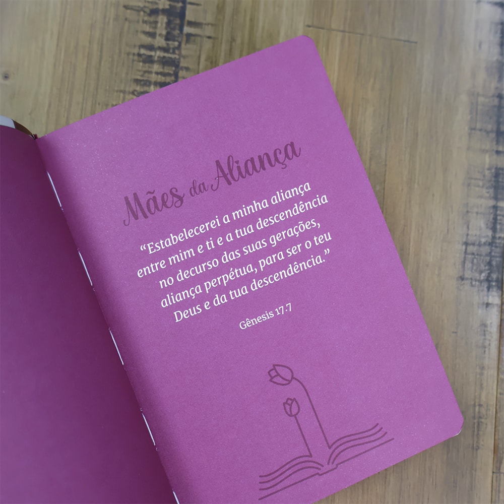 Bíblia Sagrada Mães da Aliança | ARA | Letra Normal | Capa Luxo Vinho Marfim