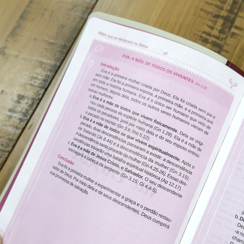 Bíblia Sagrada Mães da Aliança | ARA | Letra Normal | Capa Luxo Vinho Marfim