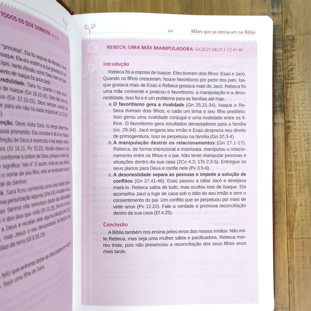 Bíblia Sagrada Mães da Aliança | ARA | Letra Normal | Capa Luxo Vinho Marfim