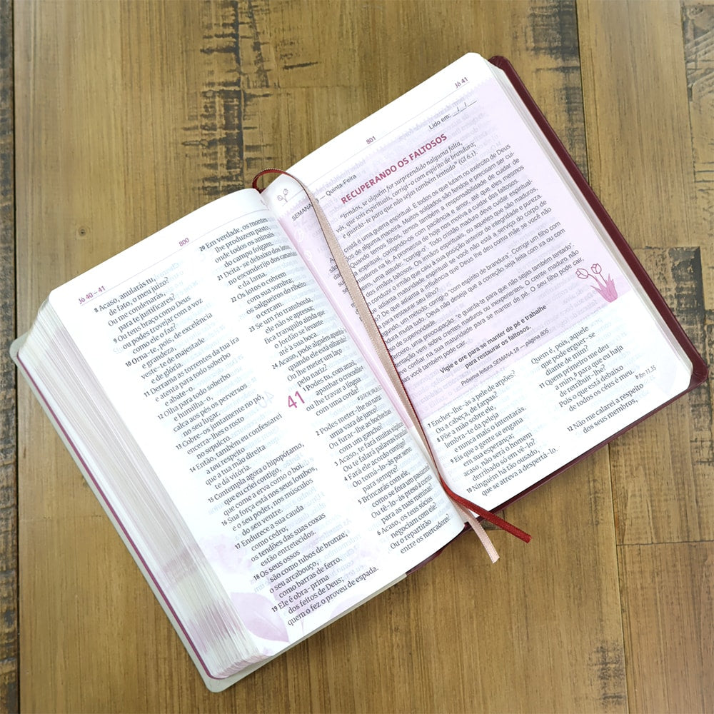 Bíblia Sagrada Mães da Aliança | ARA | Letra Normal | Capa Luxo Vinho Marfim