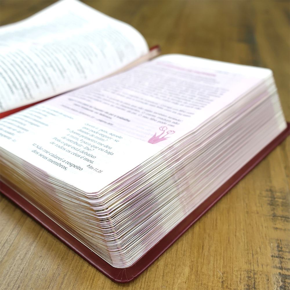 Bíblia Sagrada Mães da Aliança | ARA | Letra Normal | Capa Luxo Vinho Marfim