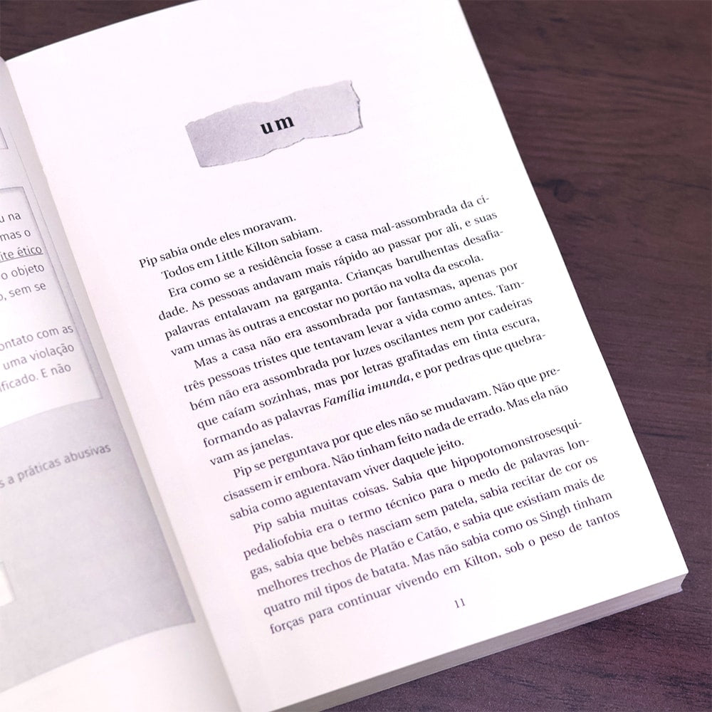 Manual de Assassinato para Boas Garotas|  Holly Jackson