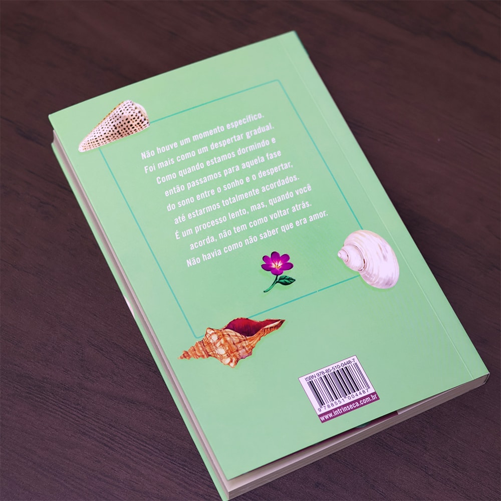 Sempre Teremos o Verão |  Jenny Han