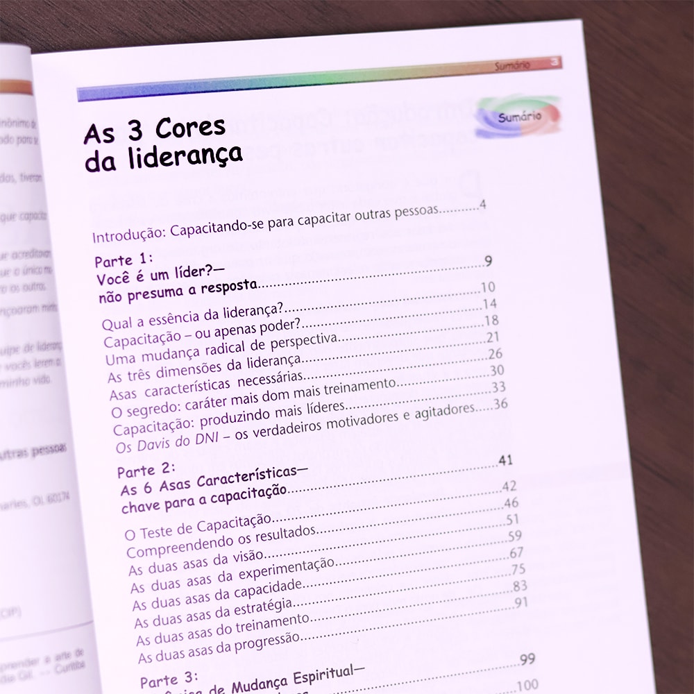 As 3 Cores da Liderança  | Christian A. Schwarz