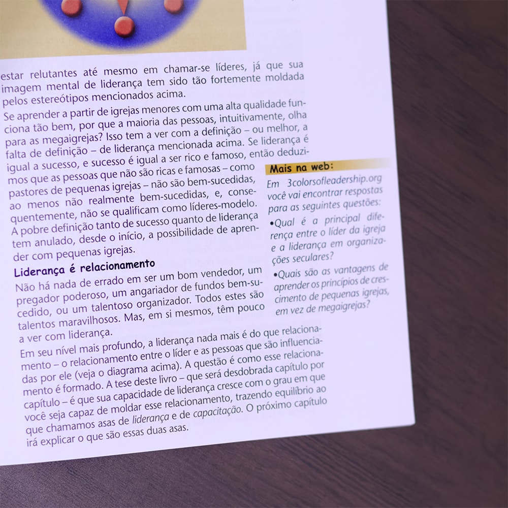 As 3 Cores da Liderança  | Christian A. Schwarz