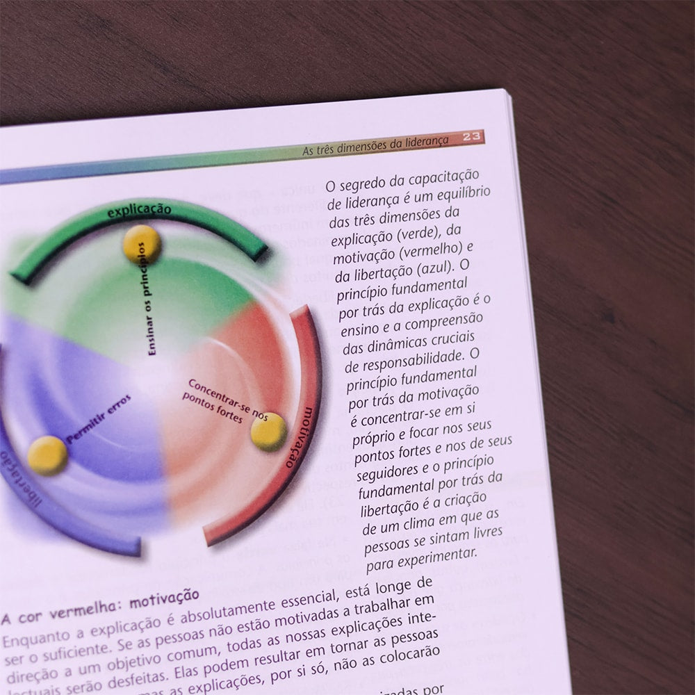 As 3 Cores da Liderança  | Christian A. Schwarz