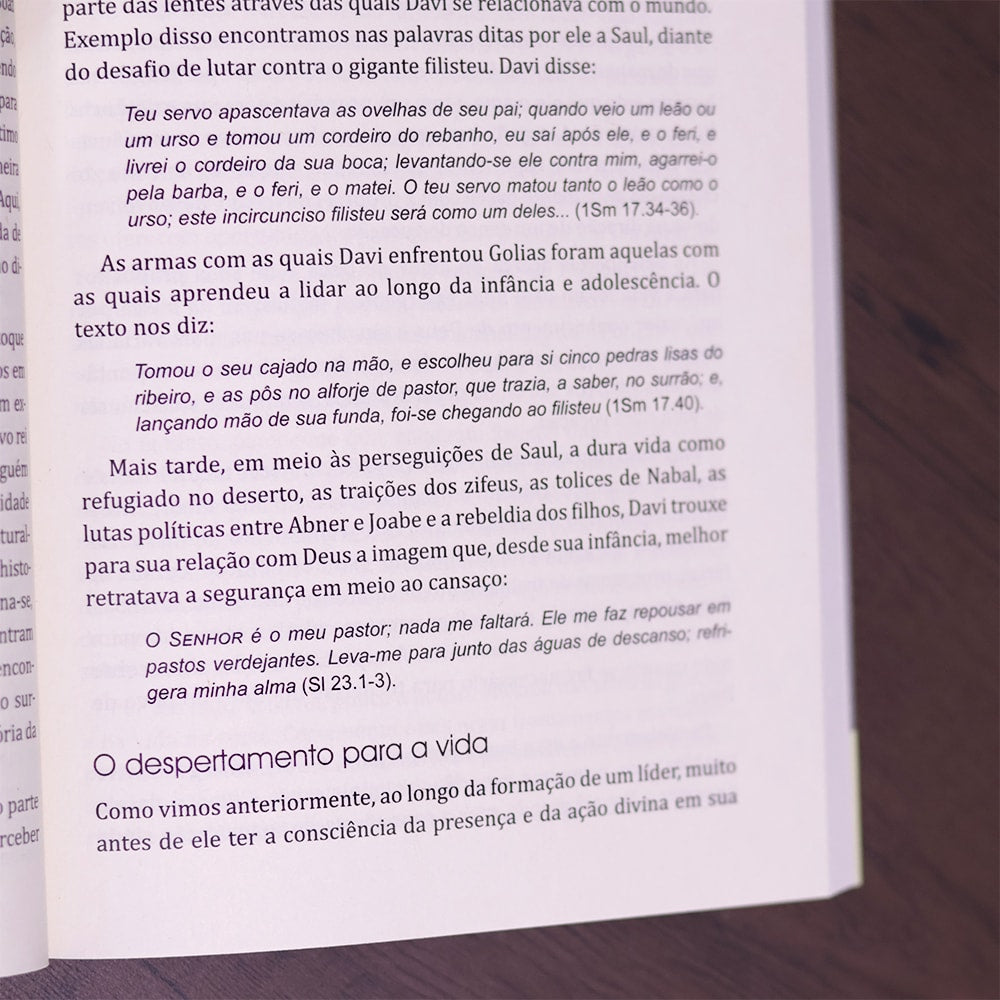 Nova Liderança |  Ricardo Barbosa de Sousa e Valdir R. Steuernagel