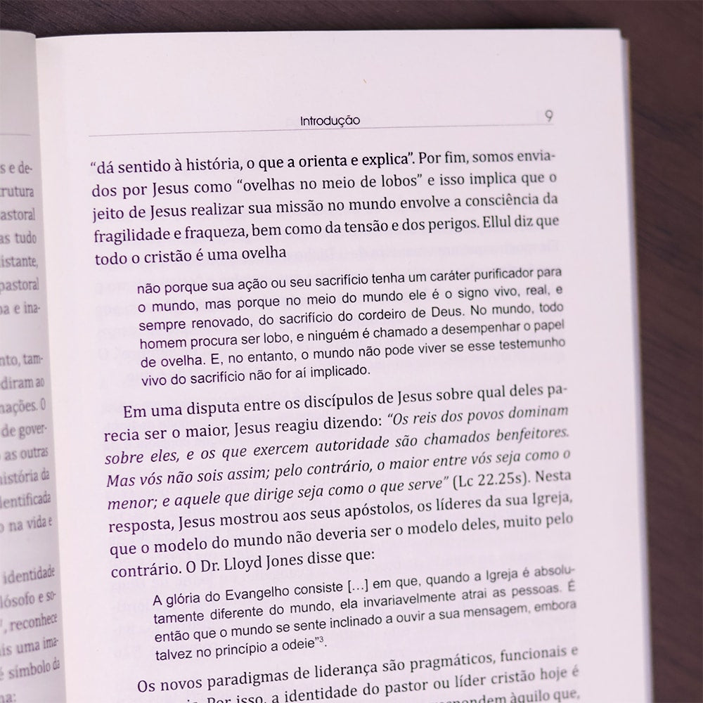 Nova Liderança |  Ricardo Barbosa de Sousa e Valdir R. Steuernagel