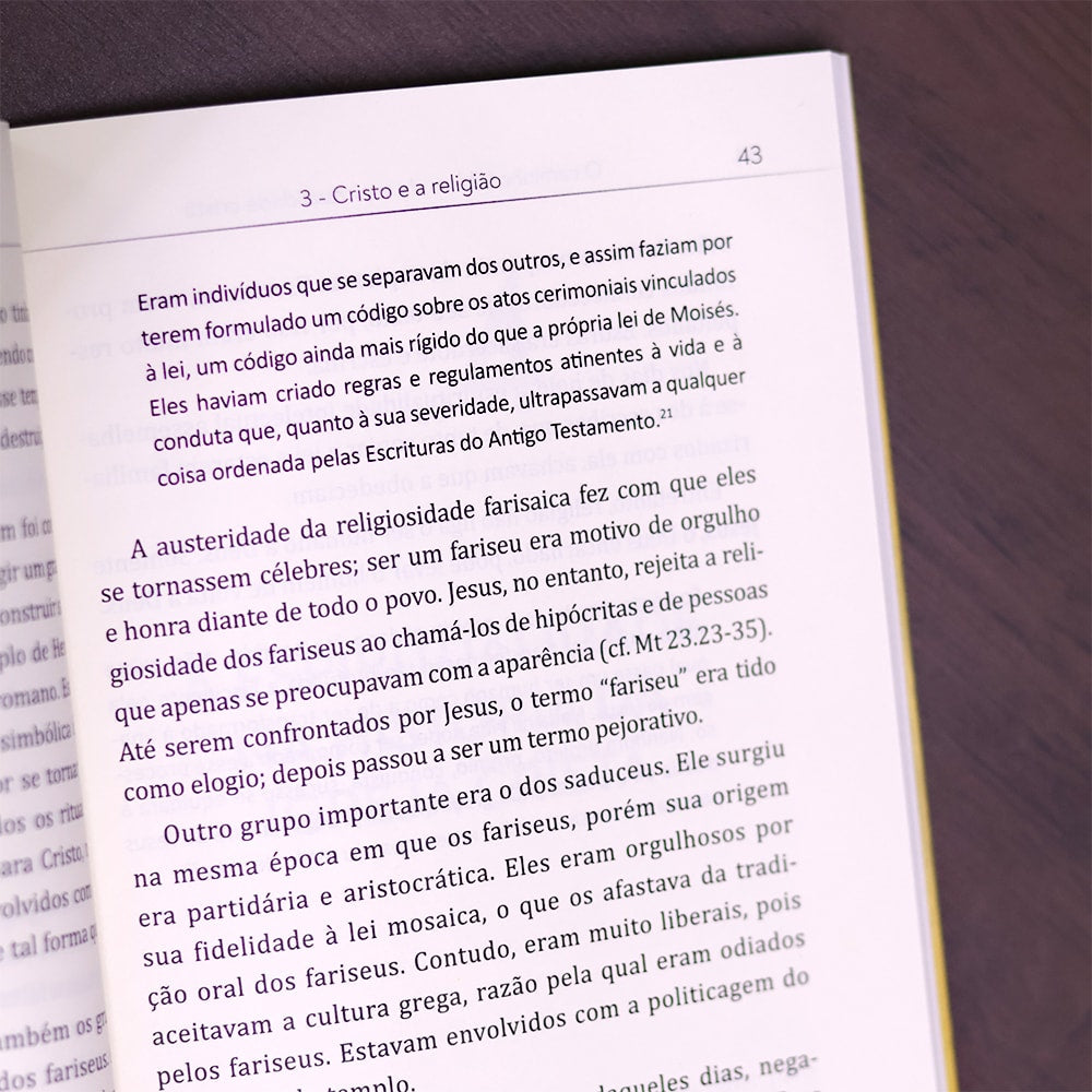 O Caminho Bíblico da Espiritualidade Cristã  | José Carlos Pezini e Luis Alexandre R. Branco