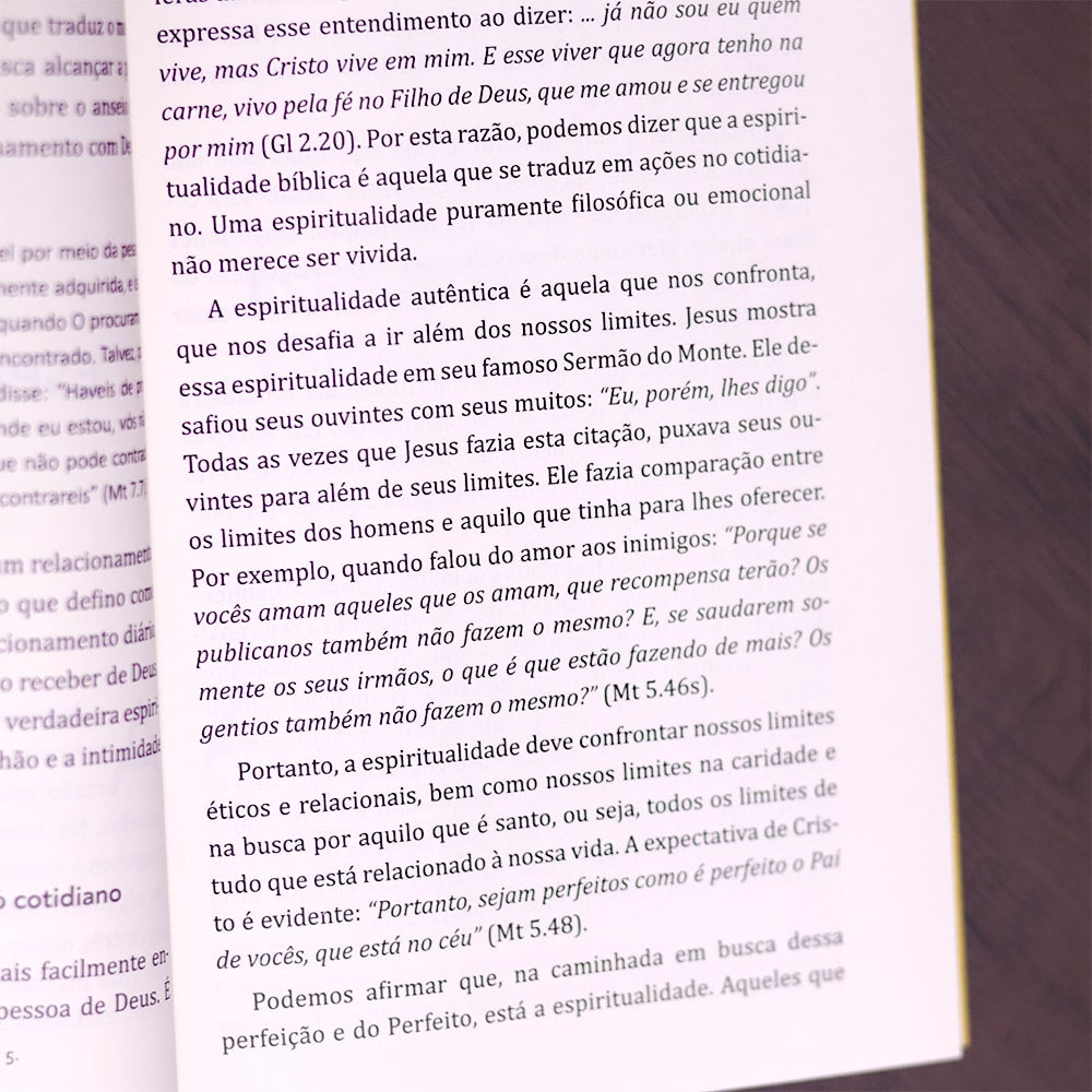 O Caminho Bíblico da Espiritualidade Cristã  | José Carlos Pezini e Luis Alexandre R. Branco