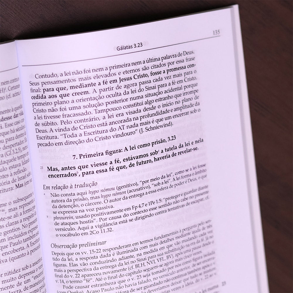 Comentário Carta Aos Gálatas  | Adolf Pohl