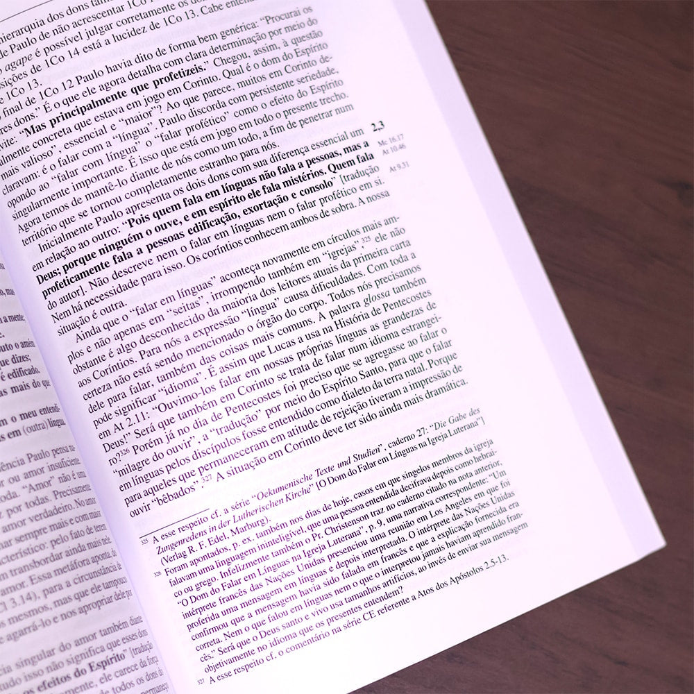 Comentário aos Coríntios 1 e 2  | Fritz Rienecker