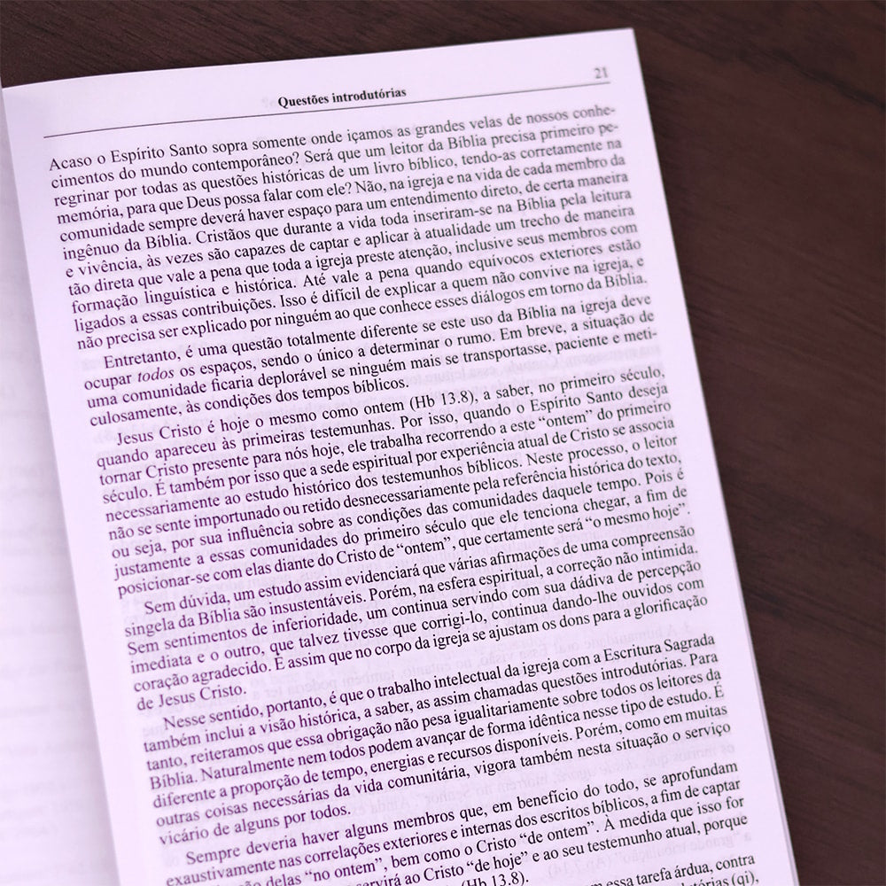 Comentário ao Apocalipse de João 1  | Fritz Rienecker